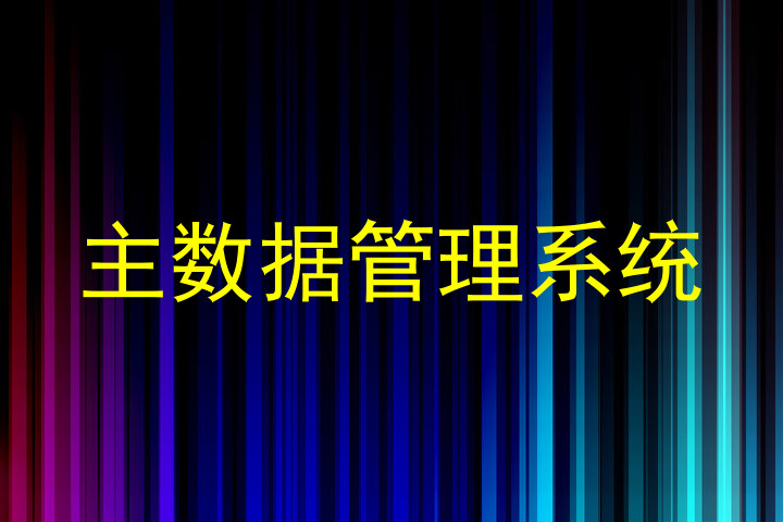 主数据管理系统