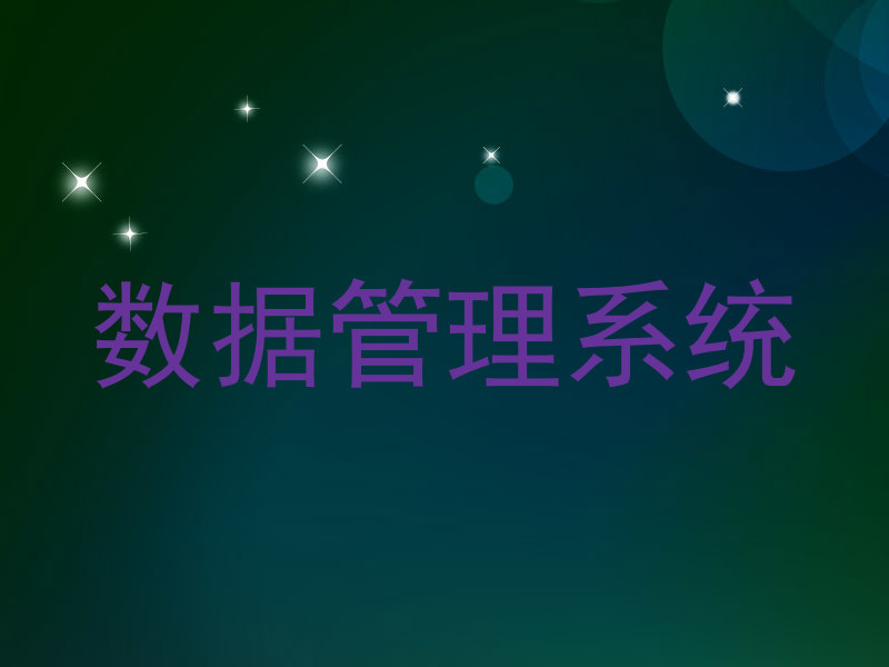 数据管理系统