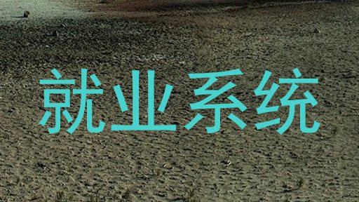 就业系统