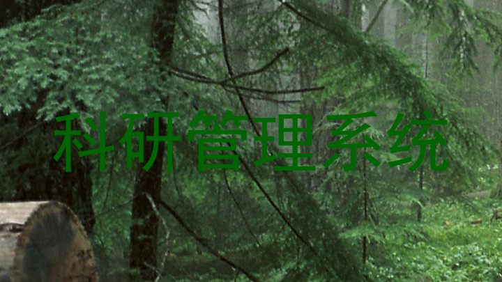科研管理系统