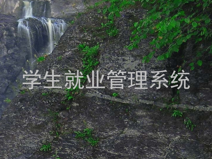 学生就业管理系统