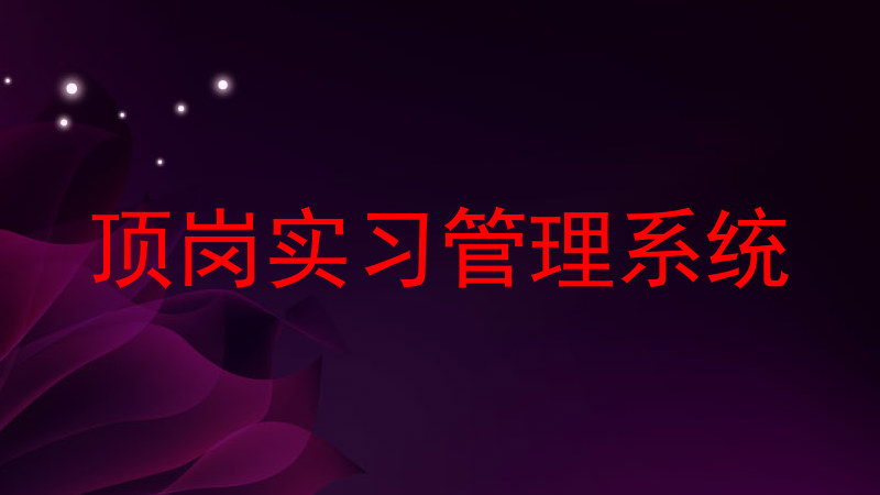 顶岗实习管理系统