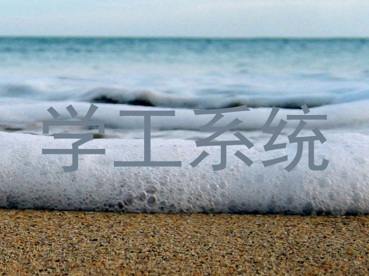 学工系统