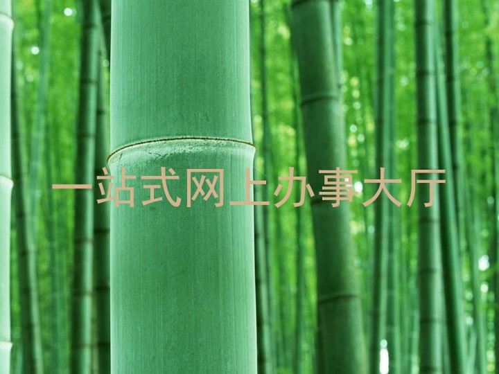 一站式网上办事大厅