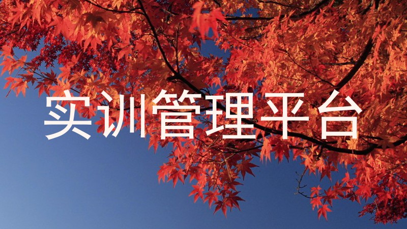 实训管理平台
