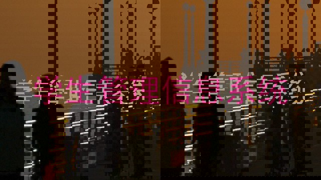 学生管理信息系统
