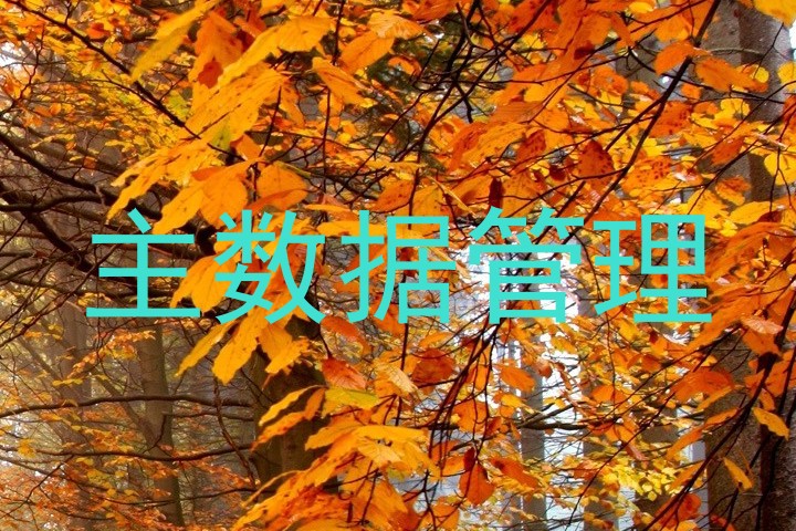 主数据管理