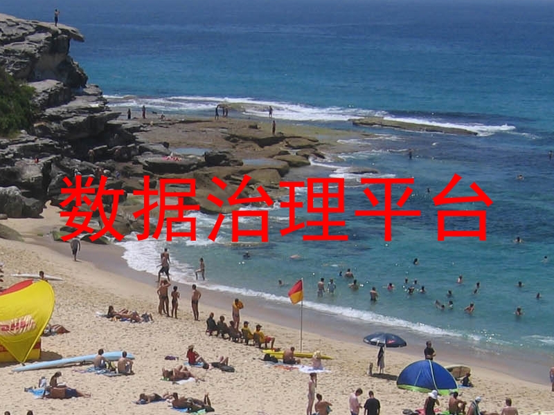 数据治理平台