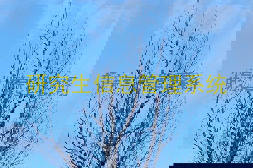 研究生信息管理系统