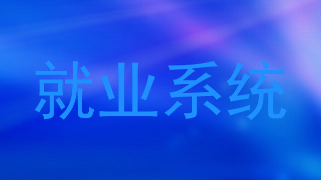 就业系统