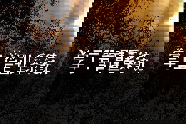 学生工作管理信息系统