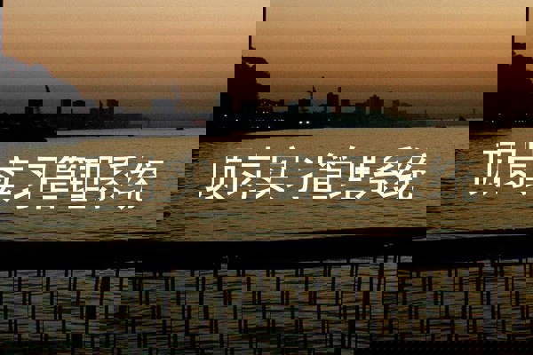 顶岗实习管理系统
