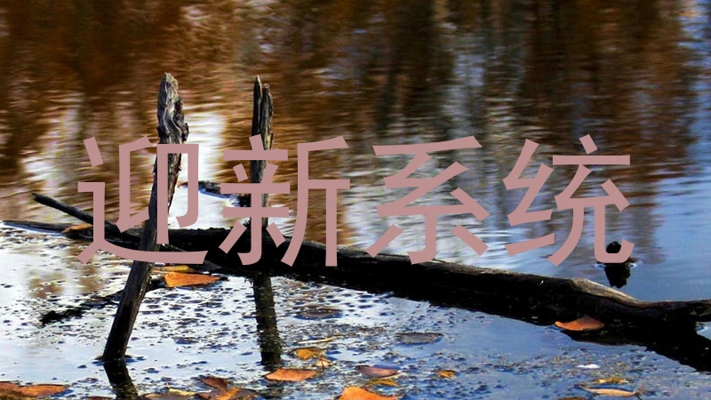 迎新系统