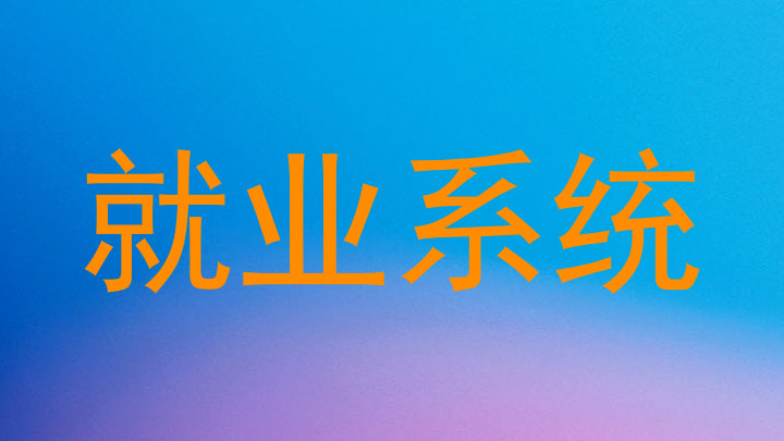 就业系统