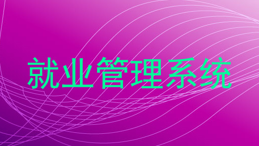 就业管理系统