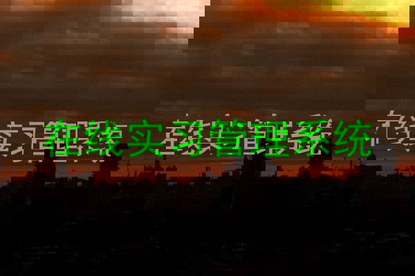 在线实习管理系统