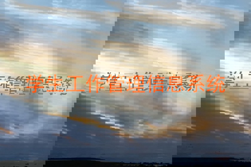 学生工作管理信息系统