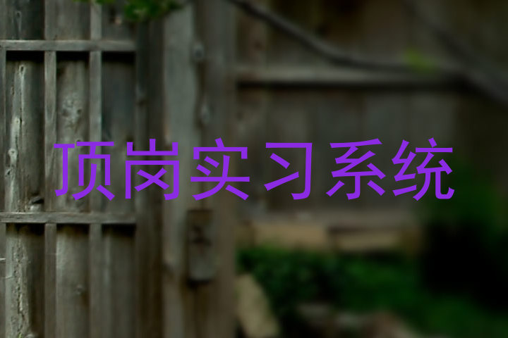 顶岗实习系统