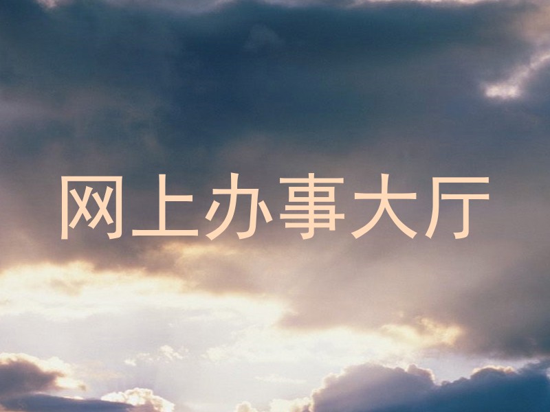 网上办事大厅