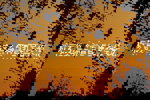 校友综合管理系统