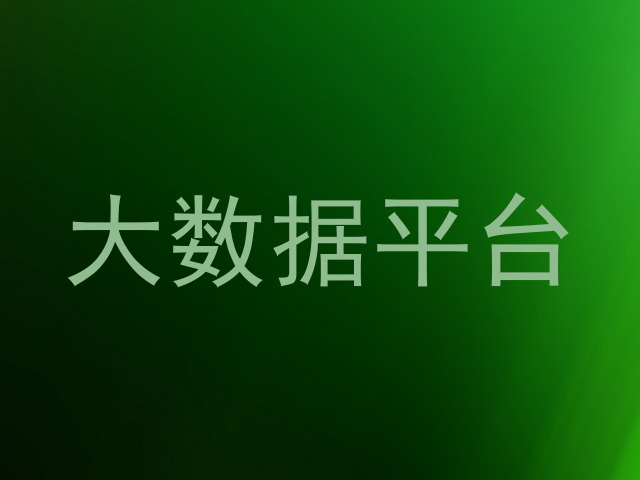 大数据平台