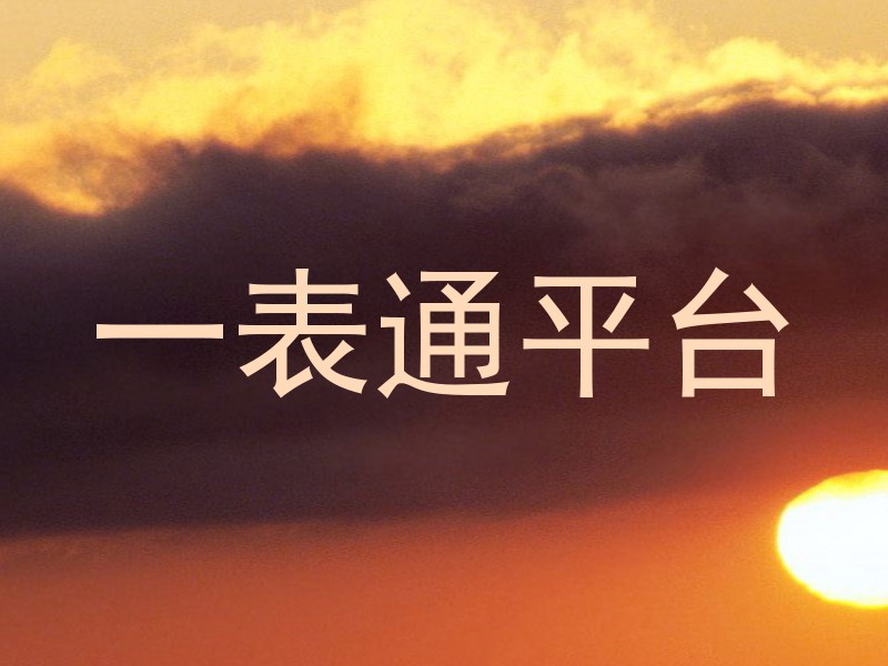 一表通平台