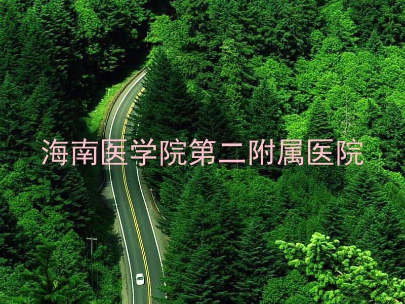 海南医学院第二附属医院