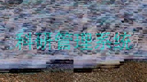 科研管理系统