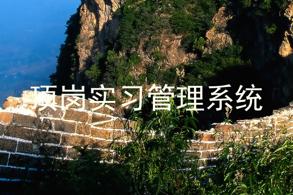 顶岗实习管理系统