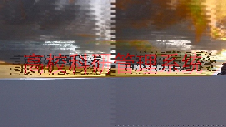 高校科研管理系统