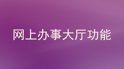 网上办事大厅功能