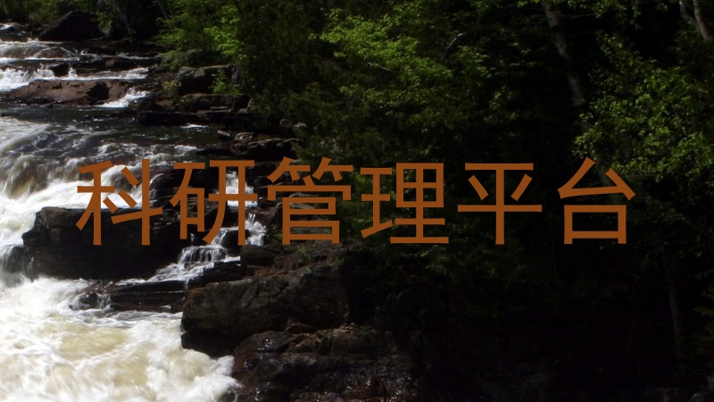 科研管理平台