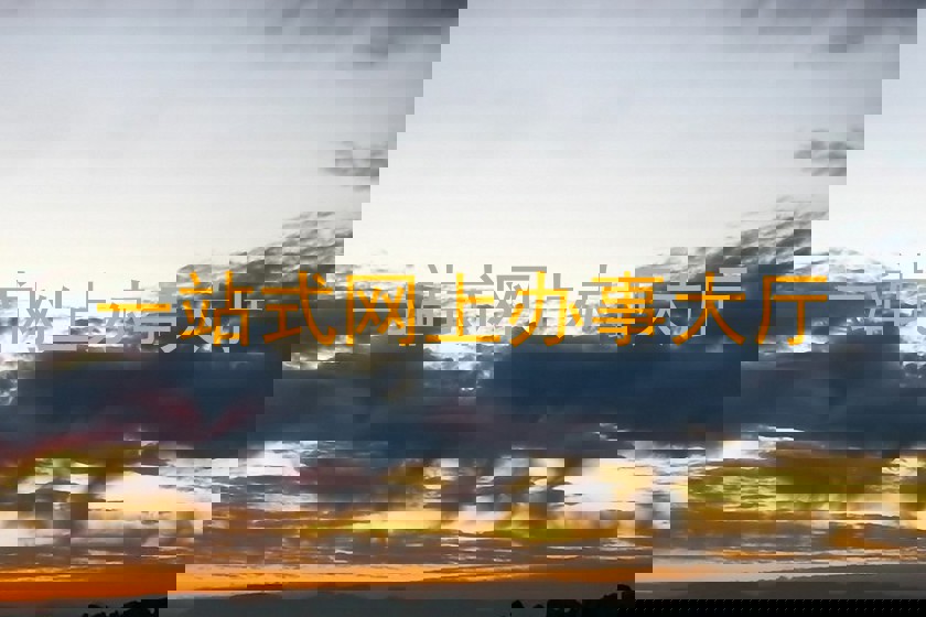一站式网上办事大厅