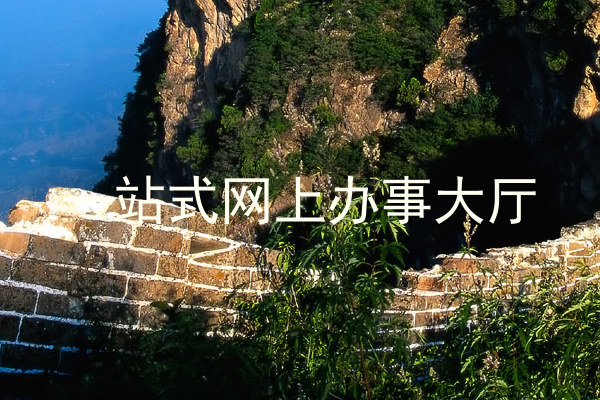 一站式网上办事大厅