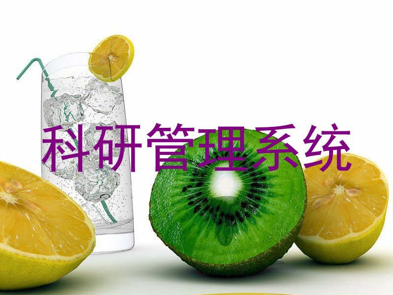 科研管理系统