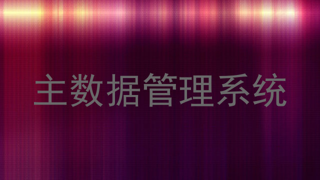 主数据管理系统