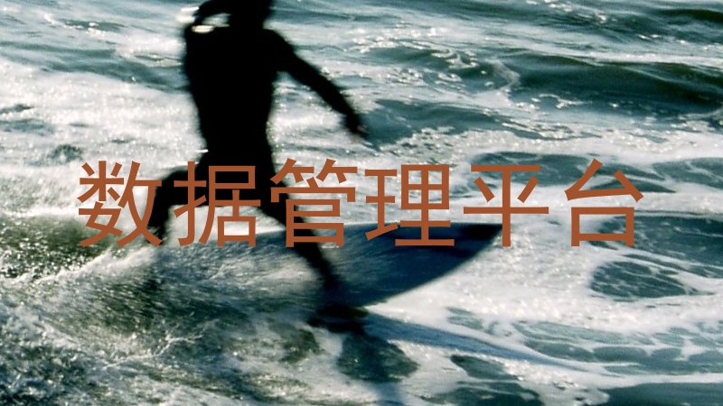 数据管理平台