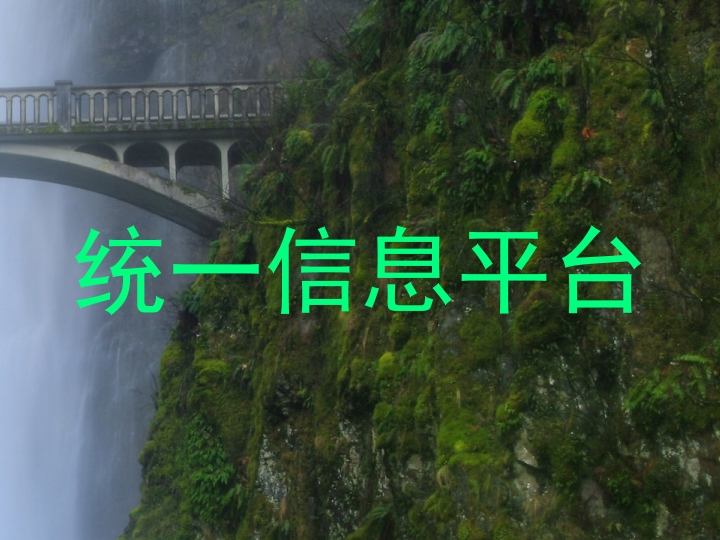 统一信息平台
