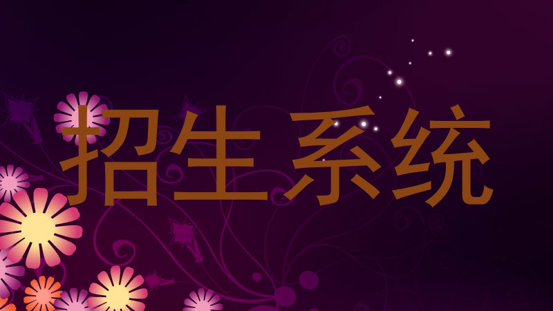招生系统