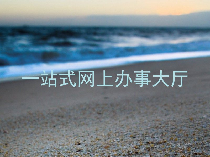 一站式网上办事大厅