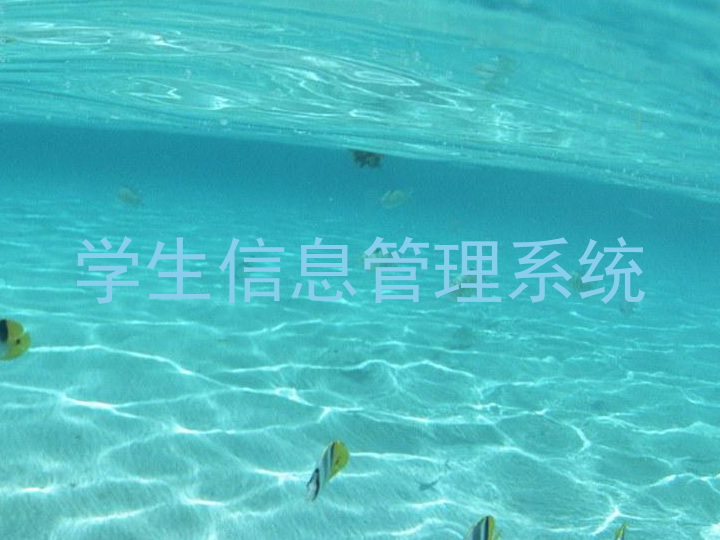学生信息管理系统