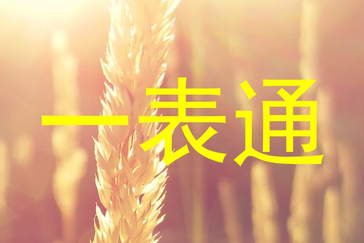 一表通
