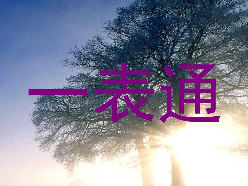 一表通