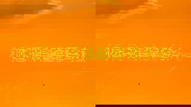 校园科研信息管理系统