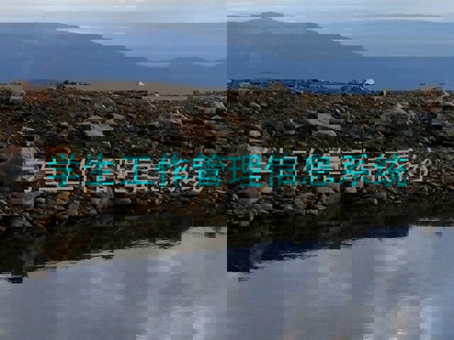 学生工作管理信息系统