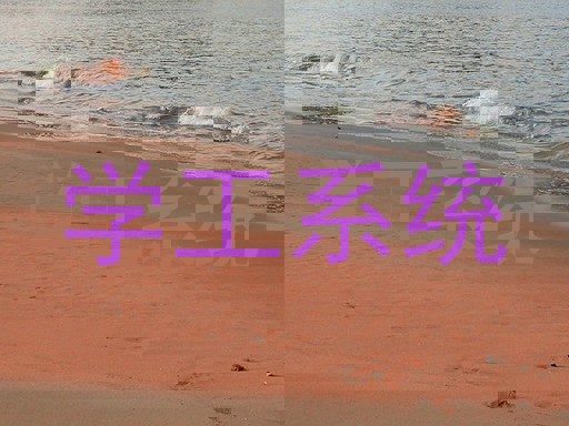学工系统