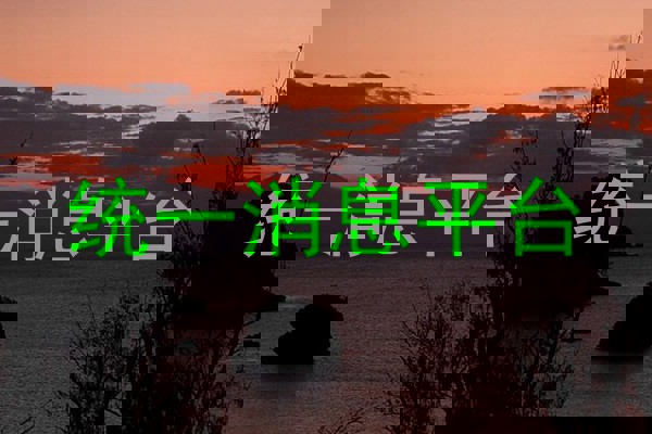 统一消息平台