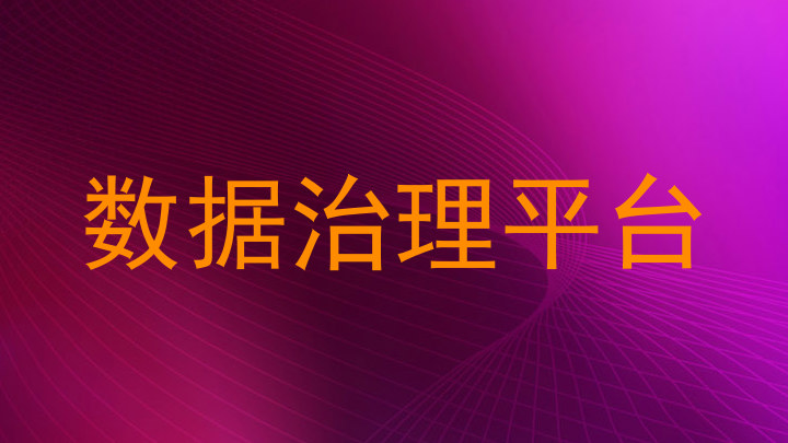数据治理平台