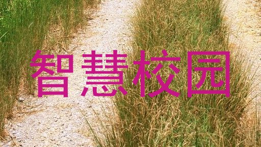智慧校园