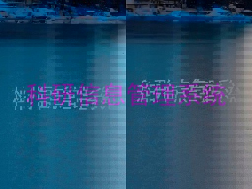 科研信息管理系统